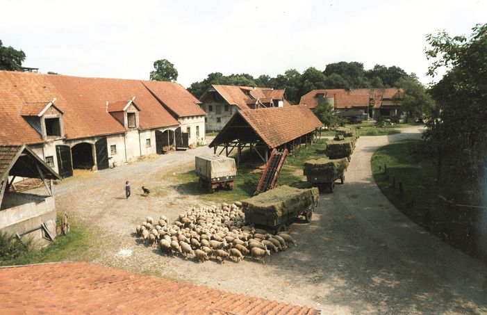 Gut Adolphshof – Bild 6