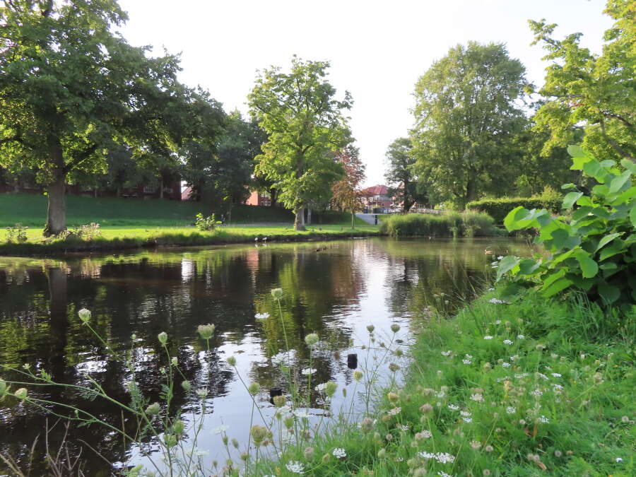 Parkanlage Schwanenteich – Bild 2