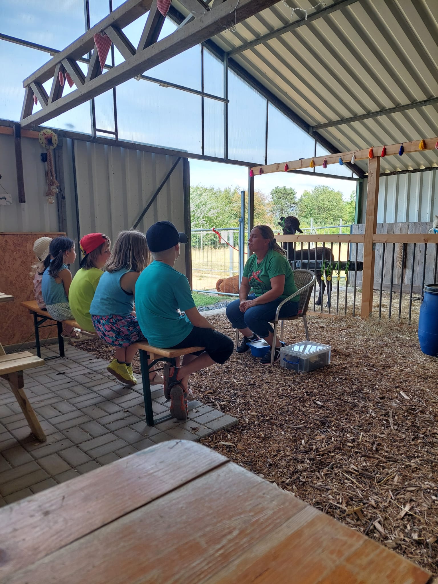 Spielscheune Dom-Esch – Bild 3