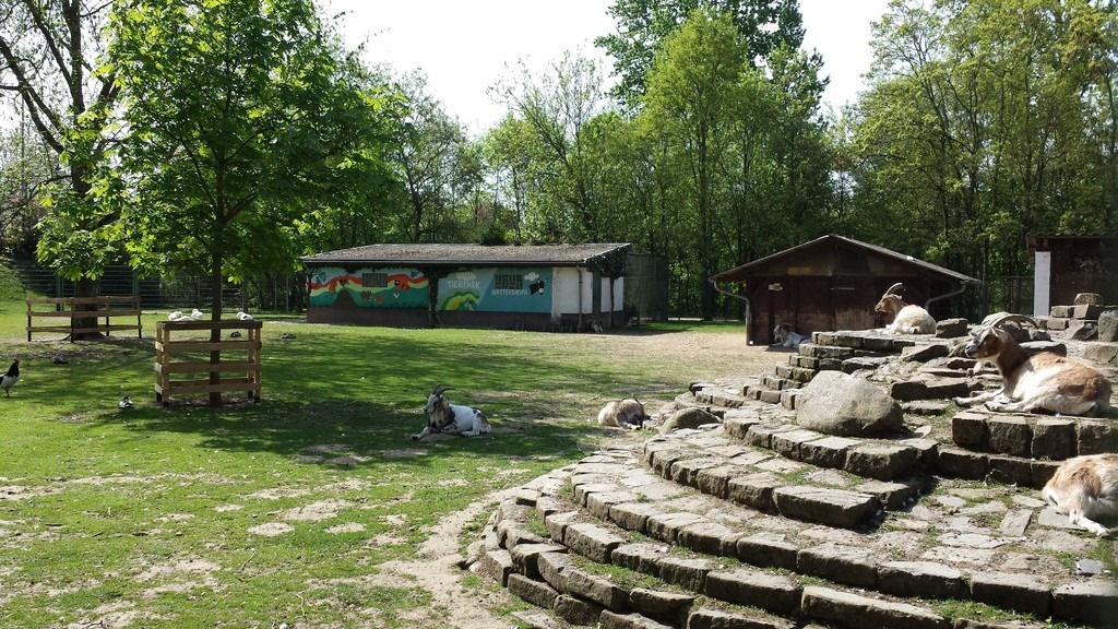 Tierpark Hattersheim e.V. – Bild 1