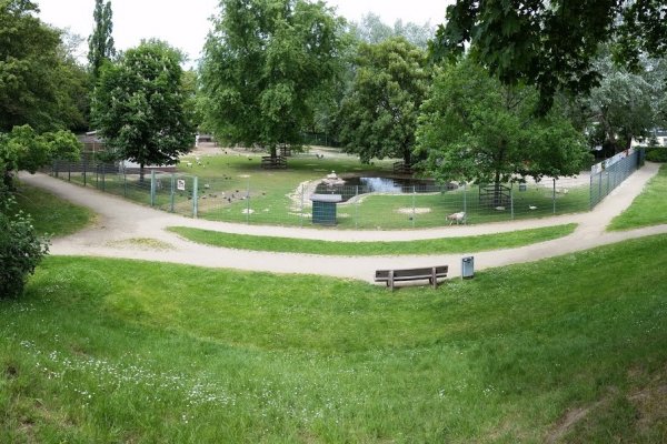 Tierpark Hattersheim e.V. – Bild 2