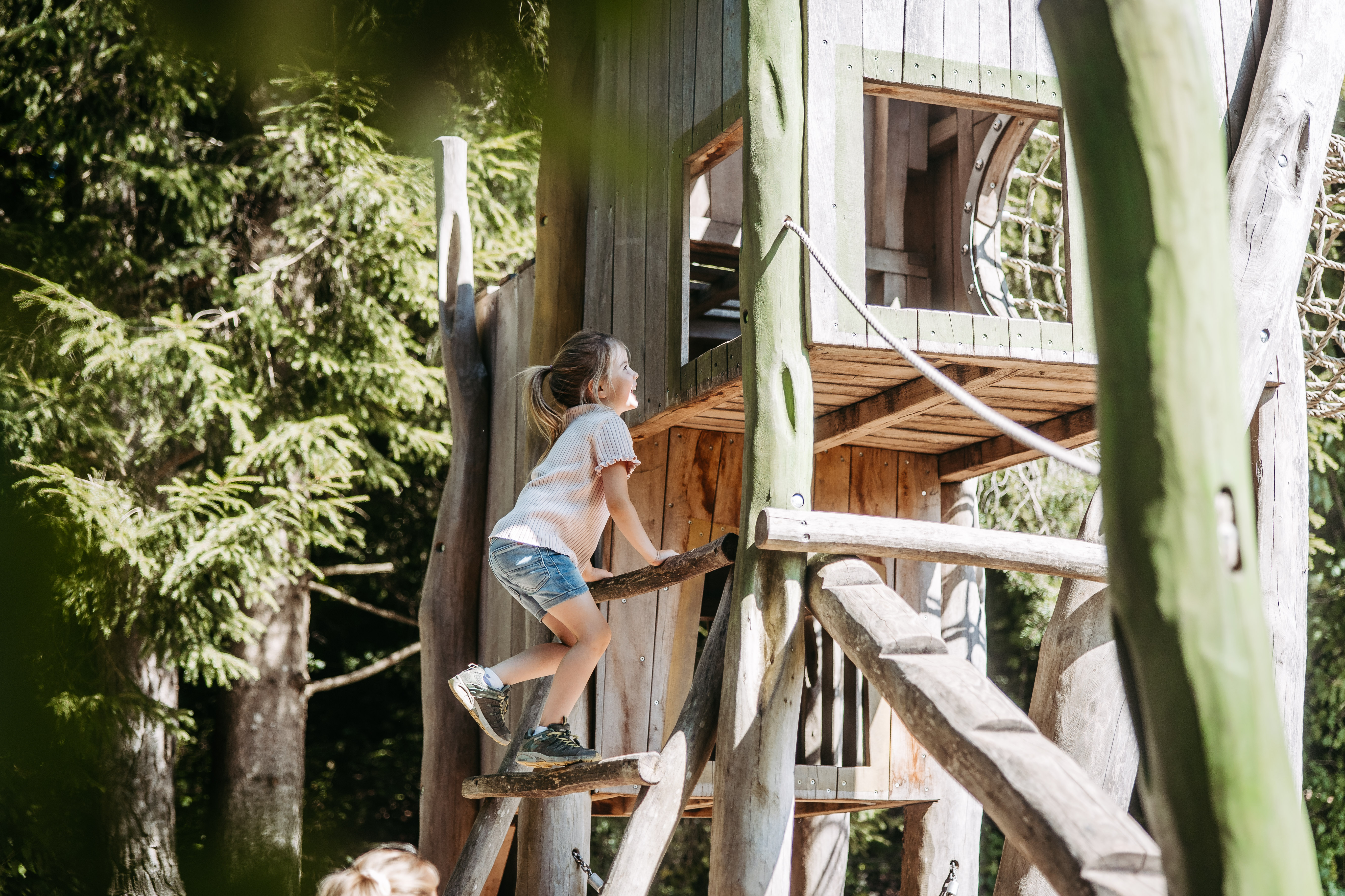 Wildtiergehege Naherholung Tannenbühl – Bild 3