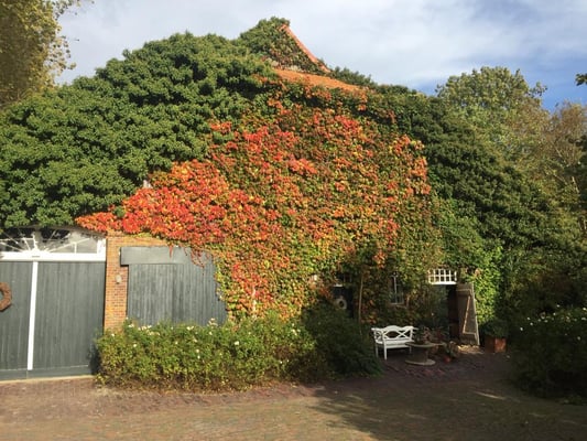 Hof hinterm Deich – Bild 5