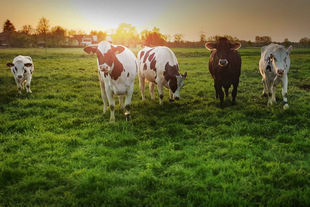 Baumert Hof – Bild 3