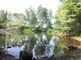 Rotary Friendship Park – Bild 2