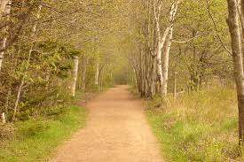 Rotary Friendship Park – Bild 5