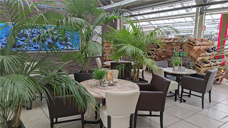 Blumen-Café – Bild 6