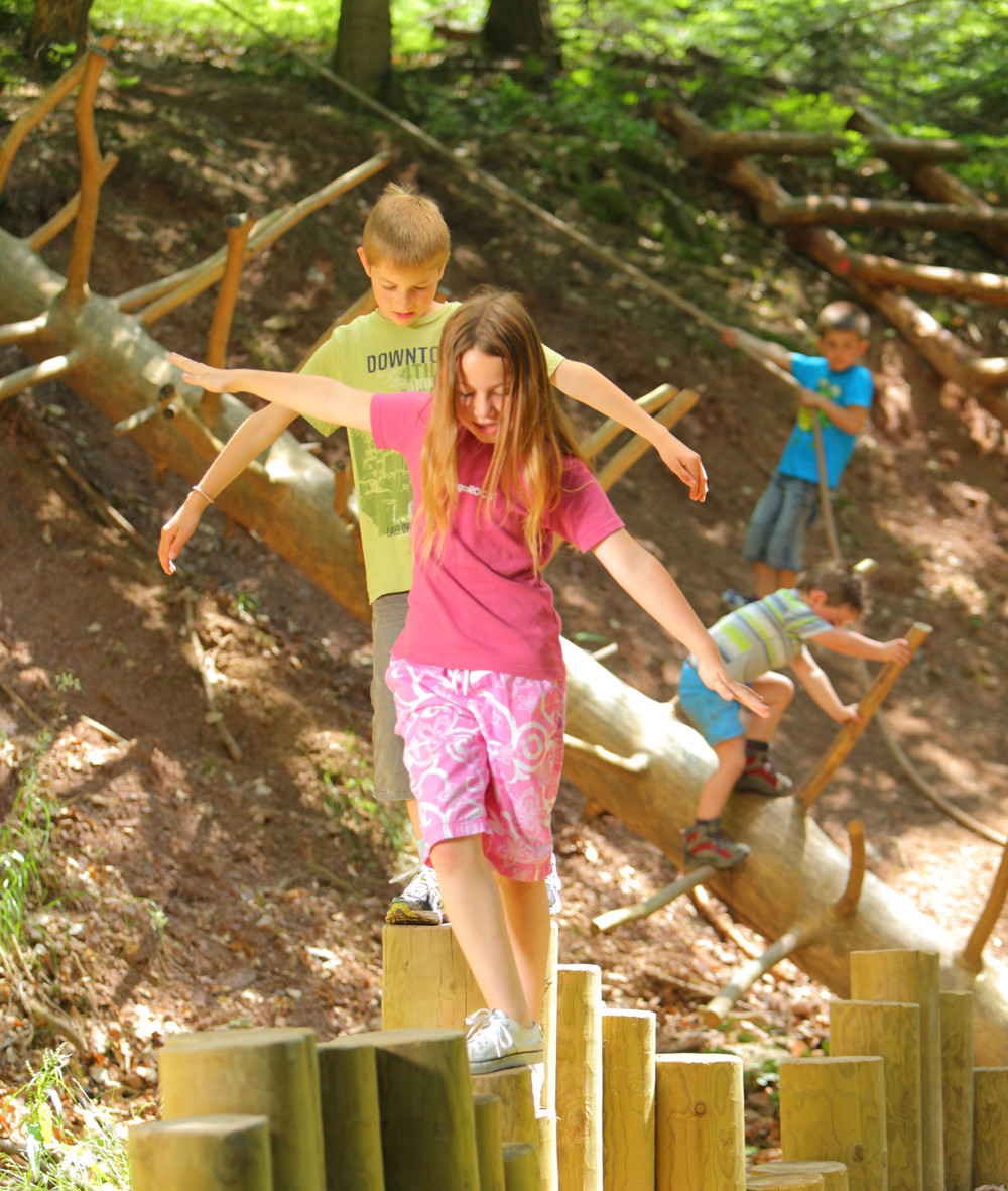 Wald- und Erlebnispfad – Bild 3