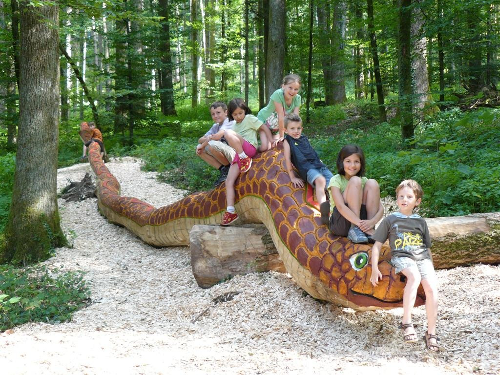 Wald- und Erlebnispfad – Bild 5