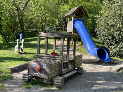 Wald- und Erlebnispfad – Bild 6