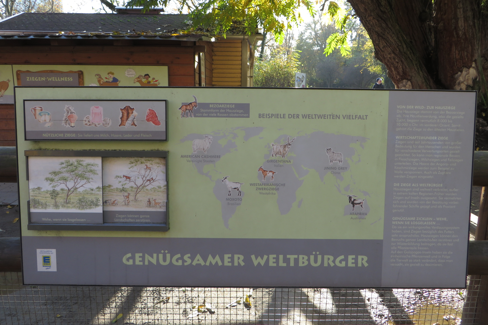 Streichelzoo – Bild 6