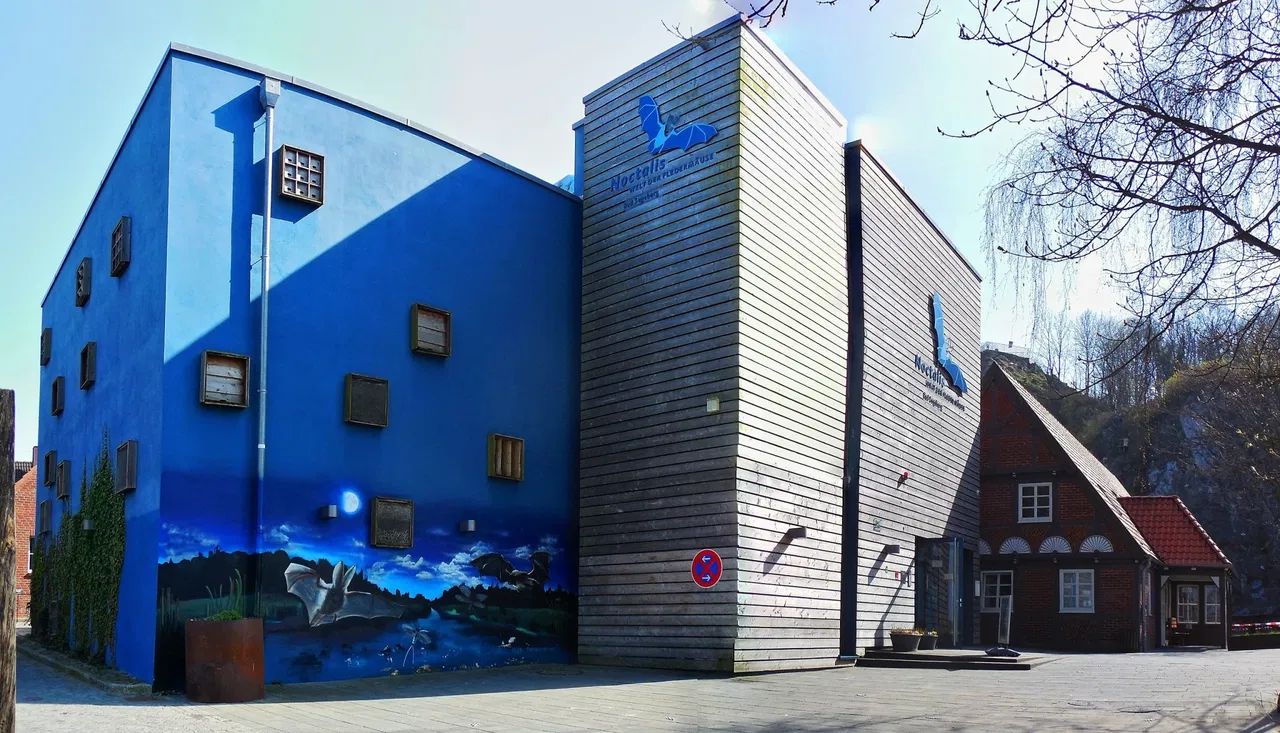 NOCTALIS Welt der Fledermäuse – Bild 4