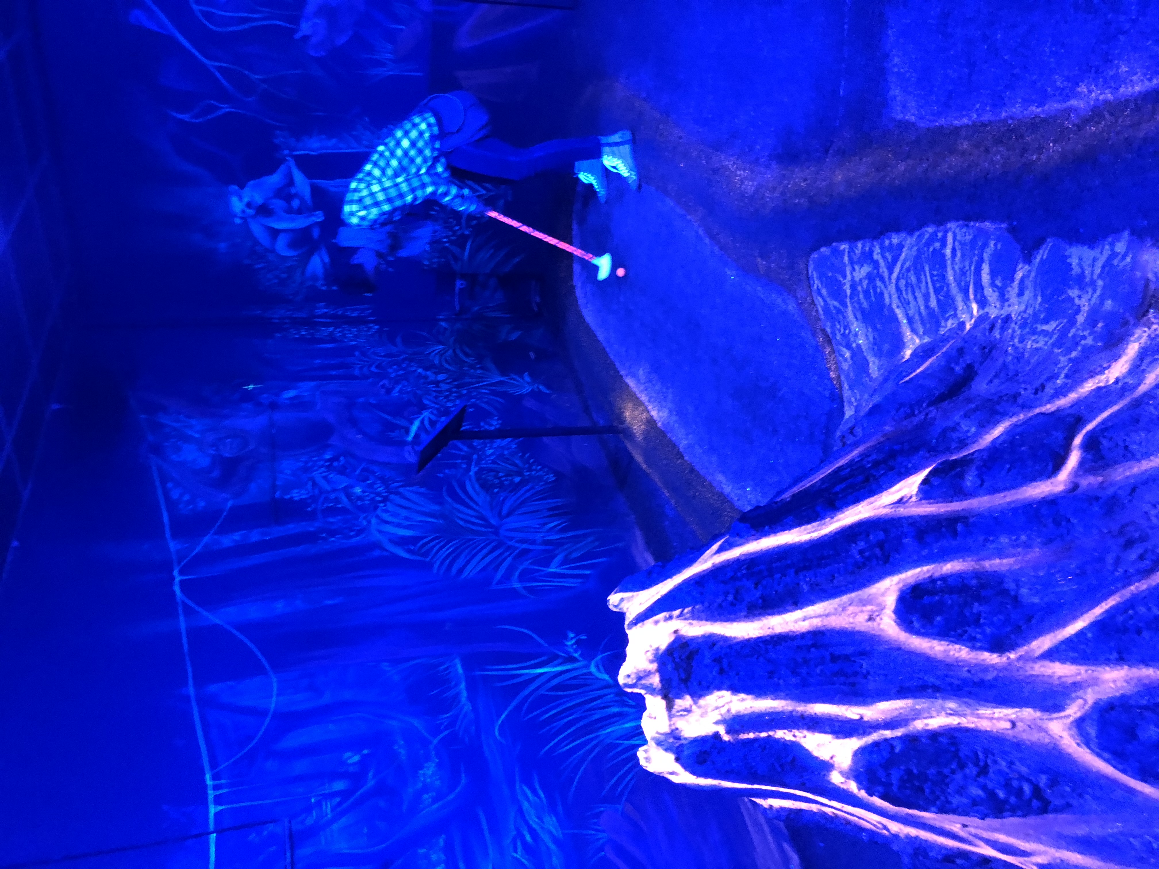 Schwarzlichtlöwen Braunschweig – Bild 2