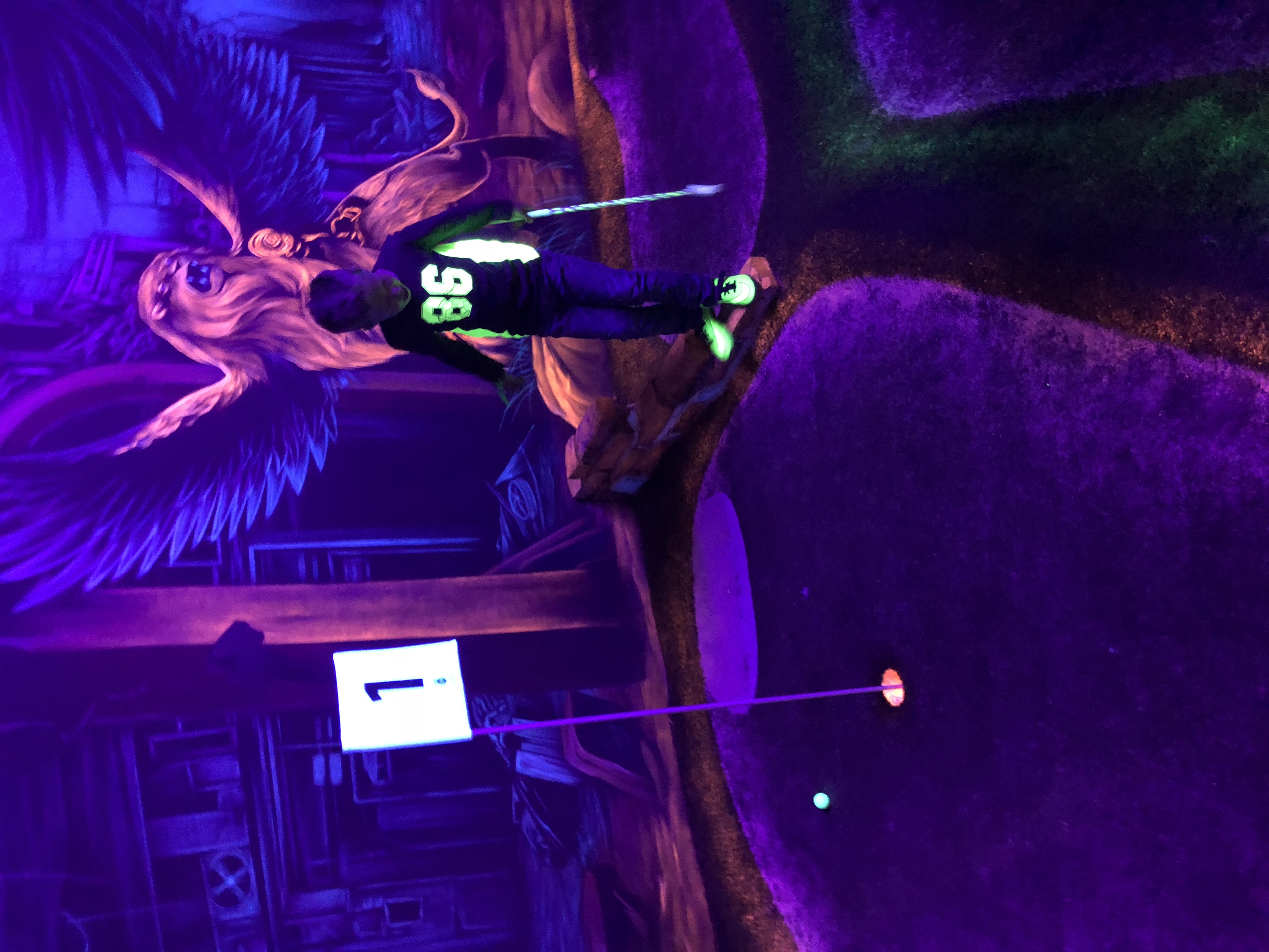 Schwarzlichtlöwen Braunschweig – Bild 4