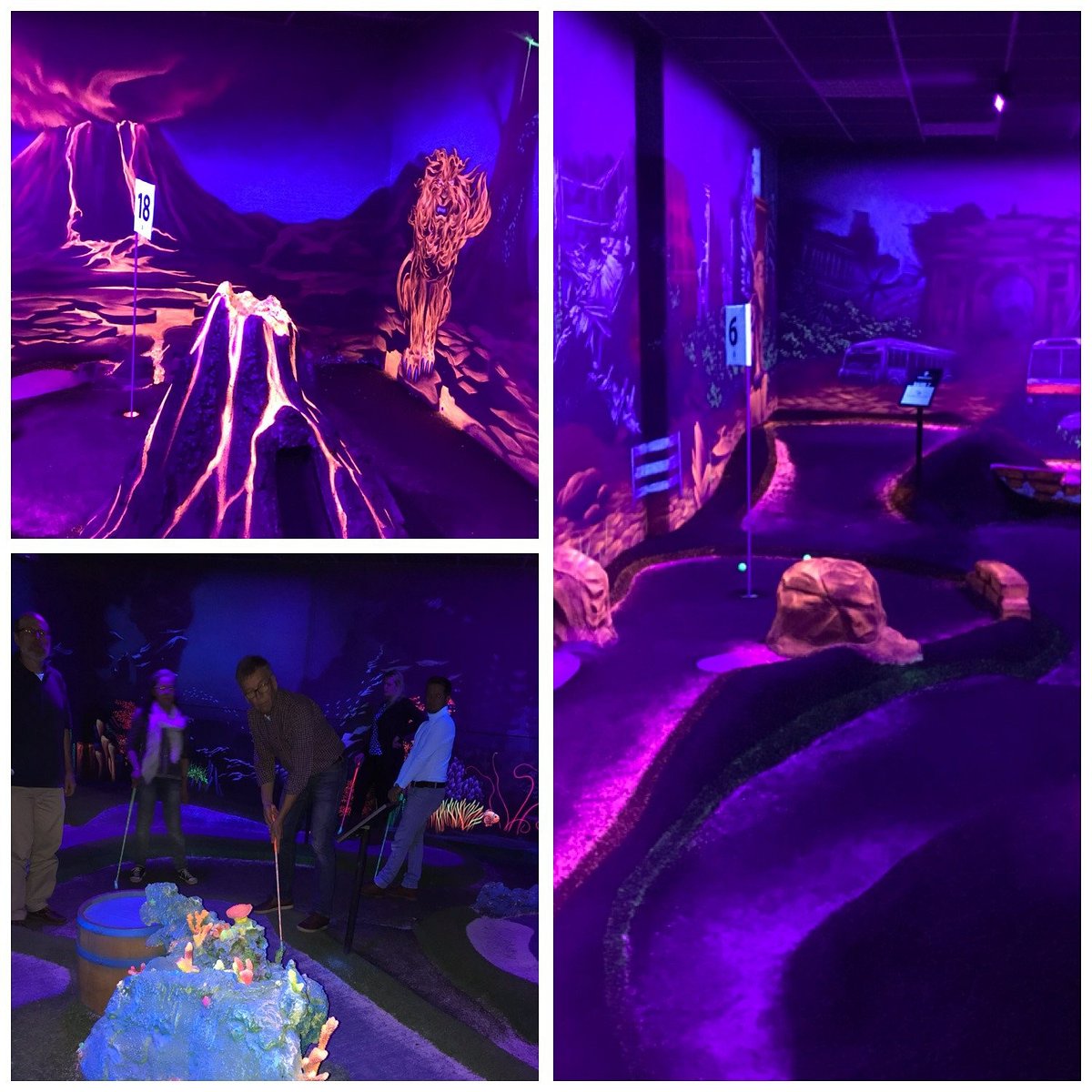 Schwarzlichtlöwen Braunschweig – Bild 5