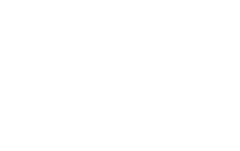 Schwarzlichtlöwen Braunschweig – Bild 6