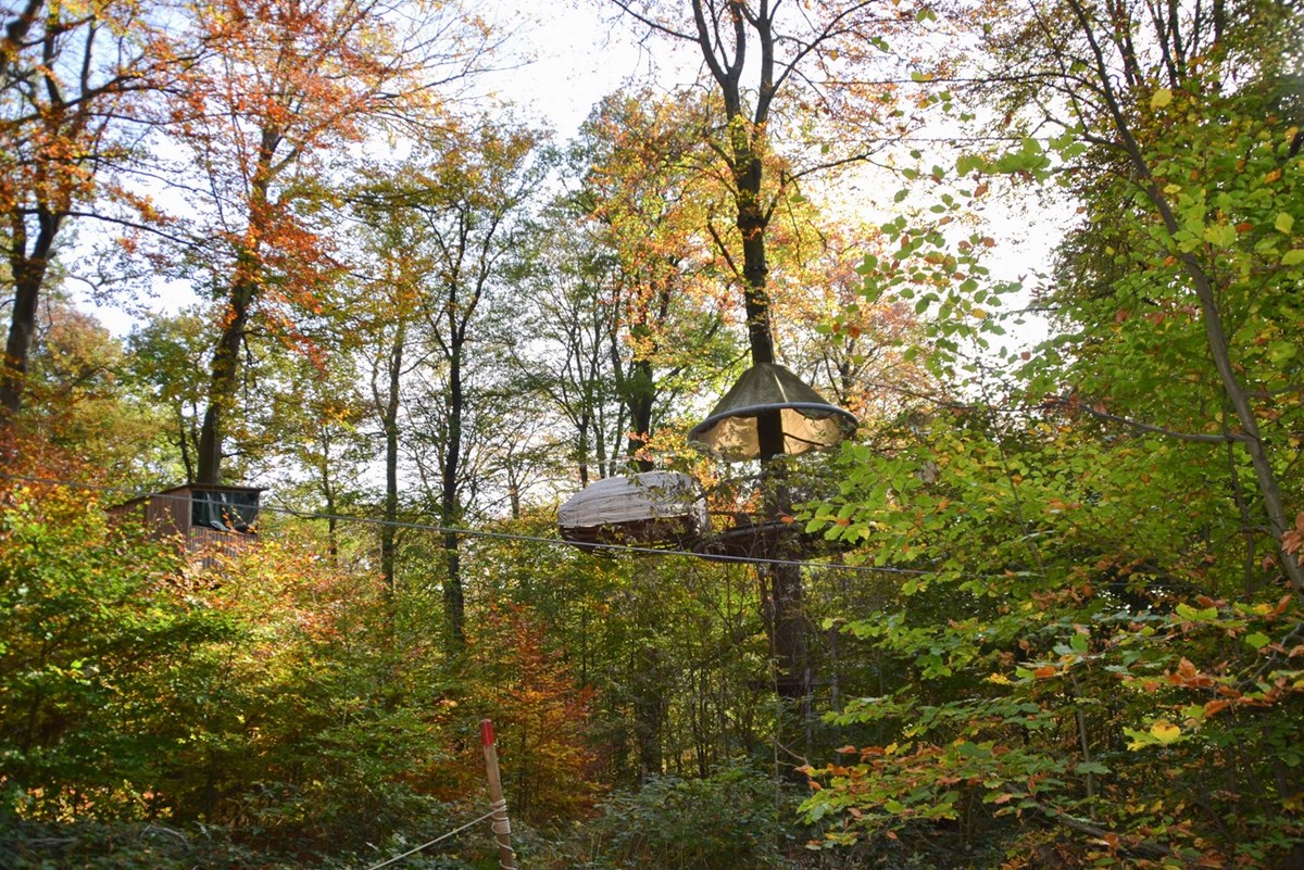 Forsthaus Lauschhütte – Bild 4