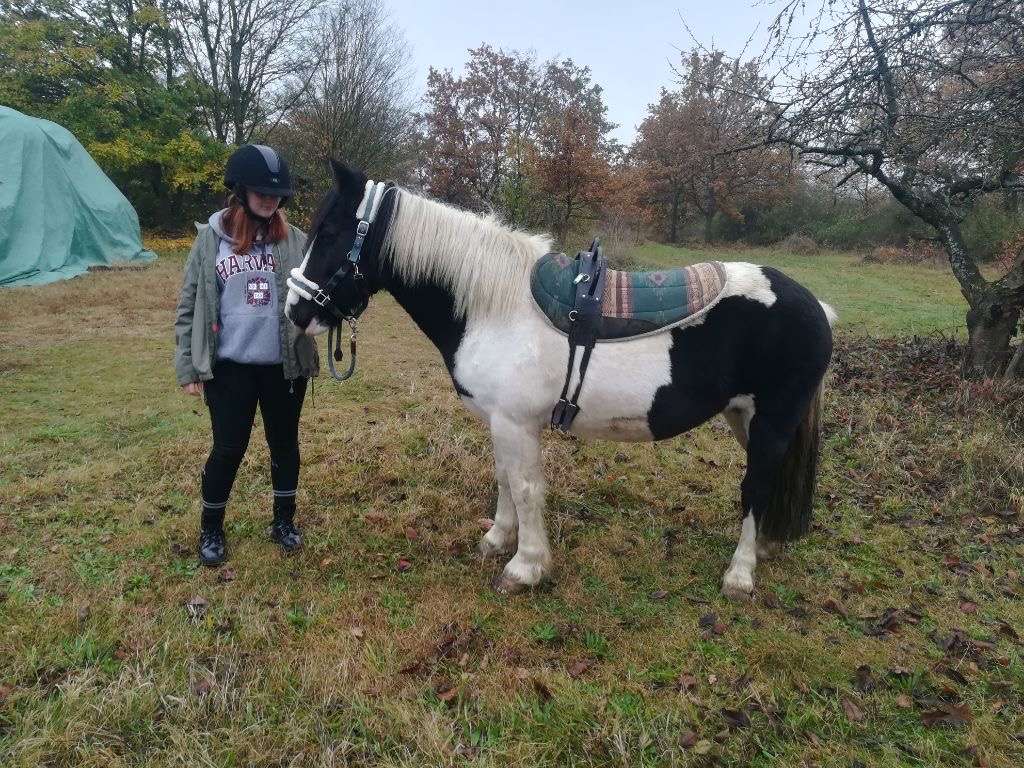 Kinder- und Jugendfarm Ingelheim e.V. – Bild 1