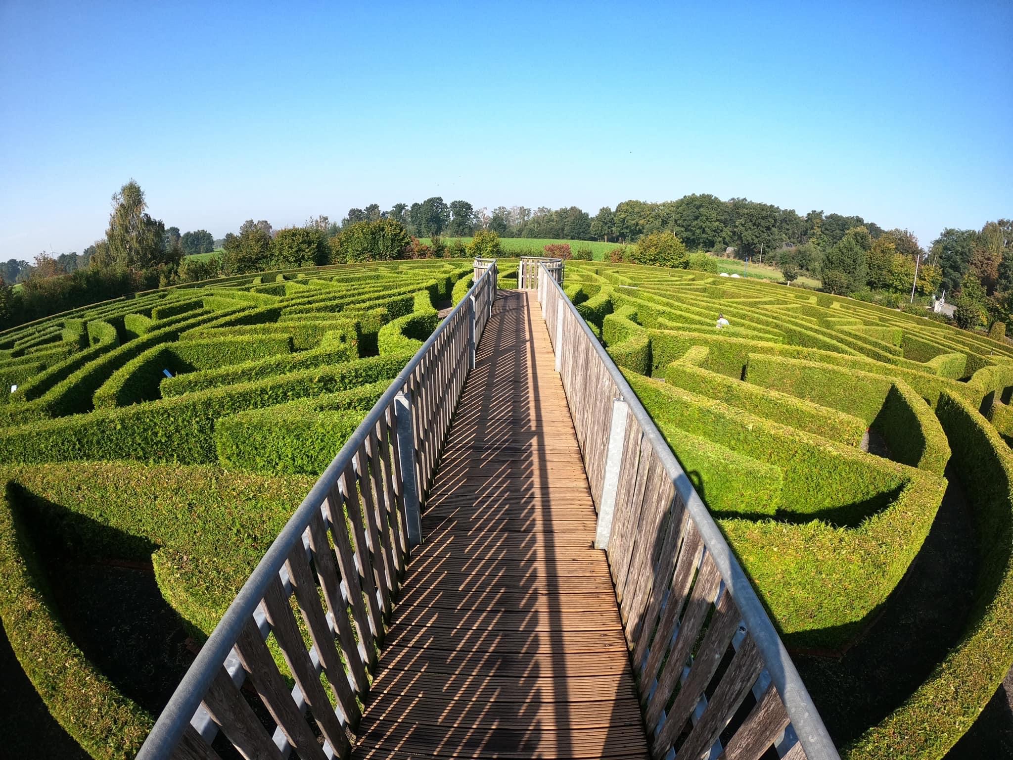 Irrgarten Alfsee – Bild 2