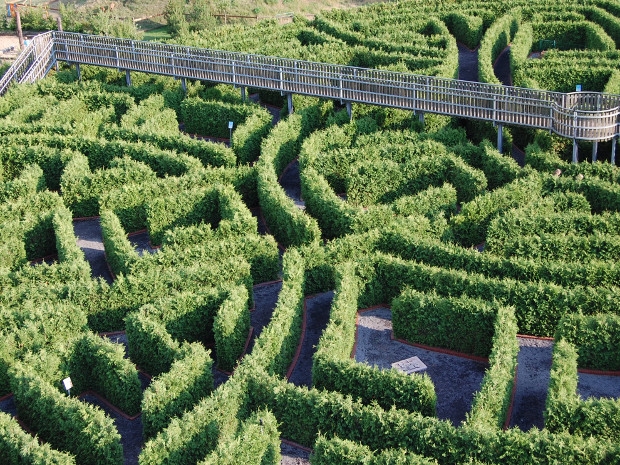 Irrgarten Alfsee – Bild 3