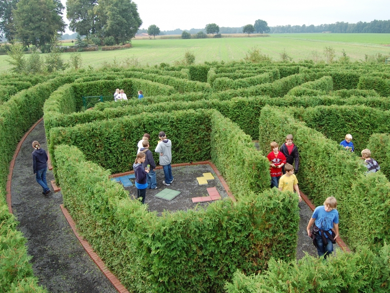 Irrgarten Alfsee – Bild 5