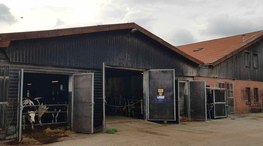 Ökodorf Brodowin – Bild 4