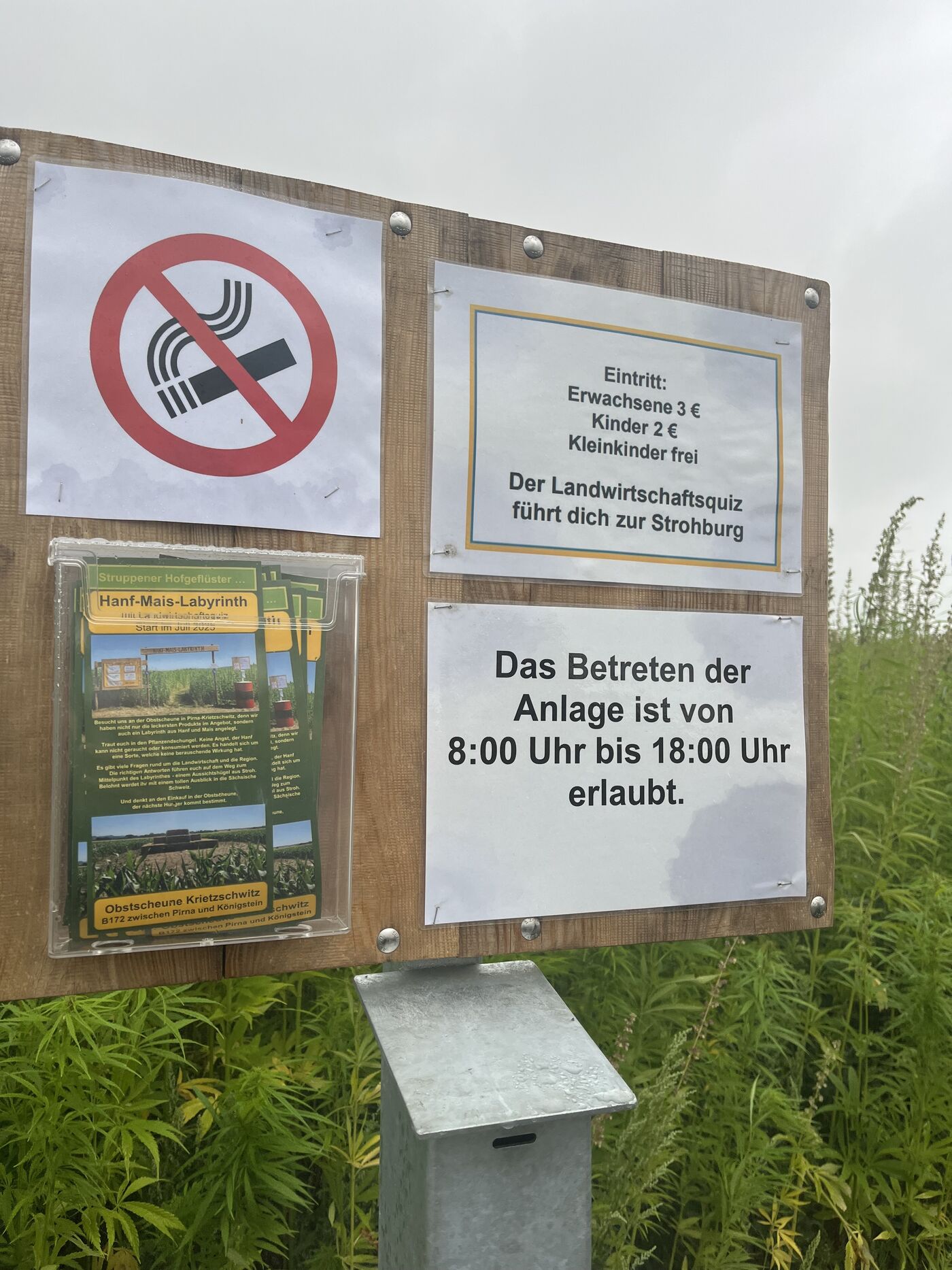 Eifler Hanflabyrinth UG (haftungsbeschränkt) – Bild 3