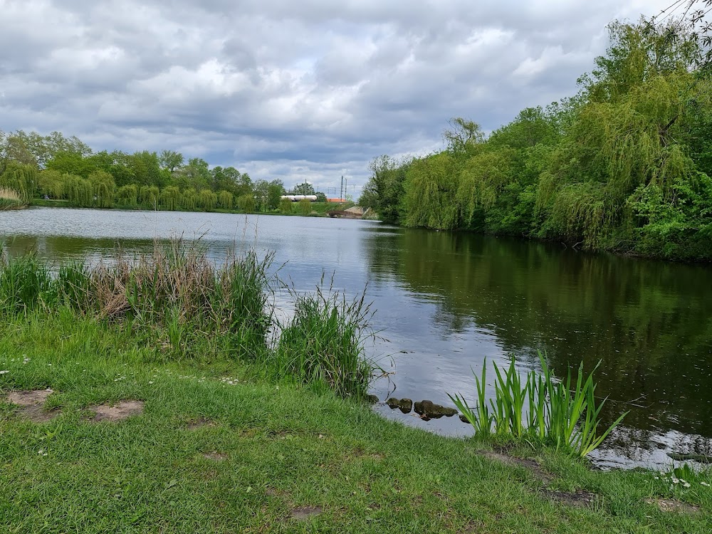 Rosengarten Merseburg – Bild 1