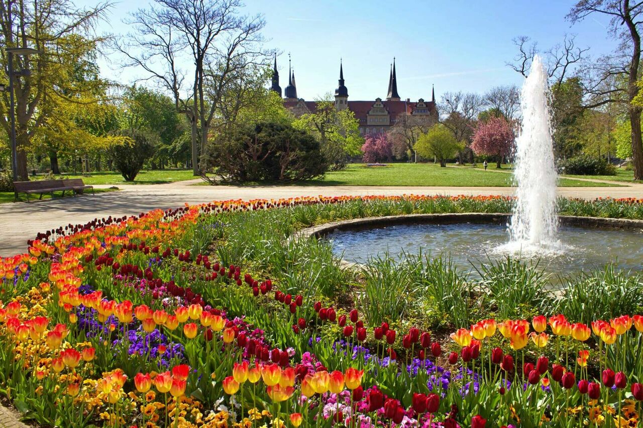 Rosengarten Merseburg – Bild 2