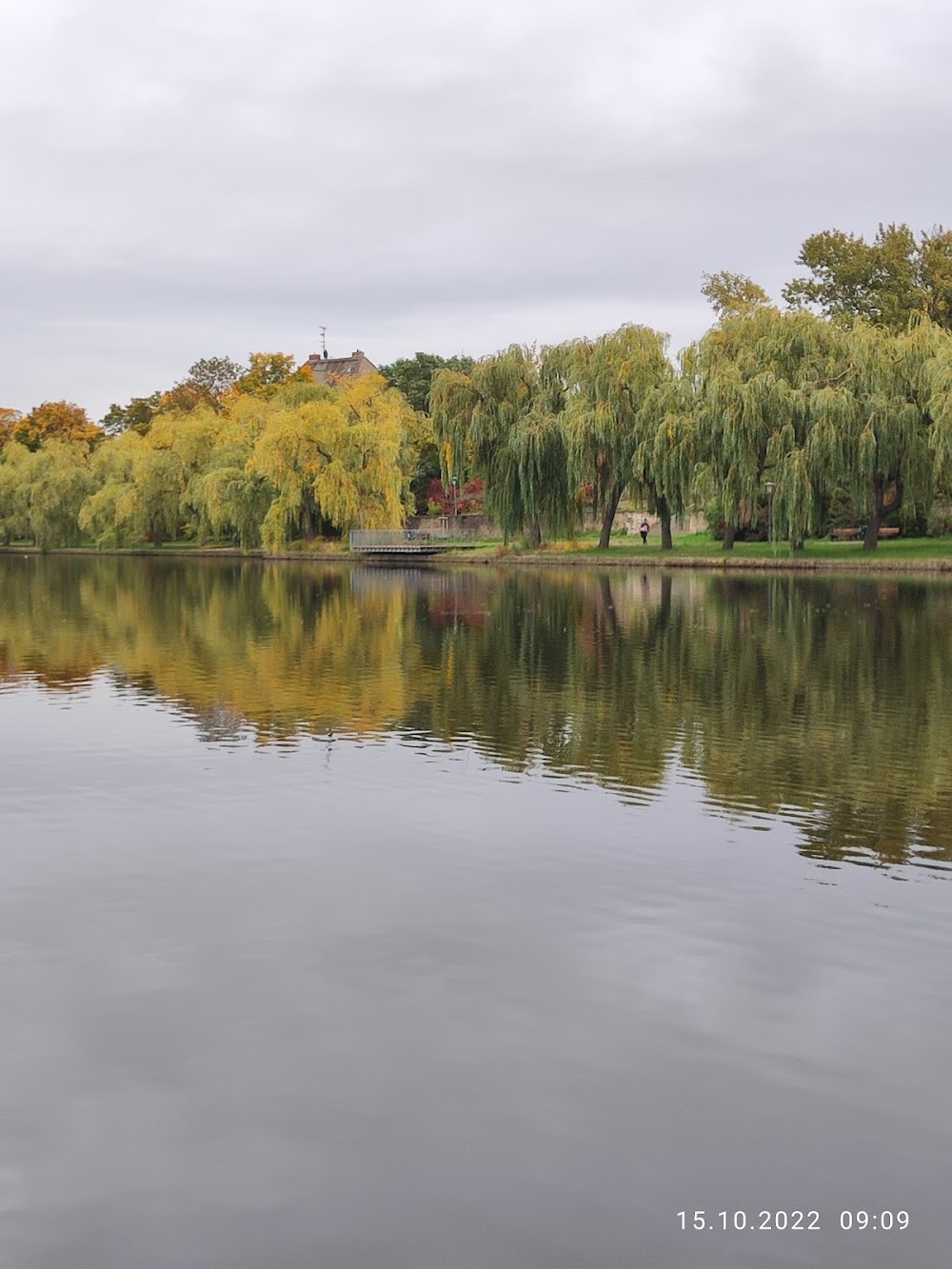 Rosengarten Merseburg – Bild 6
