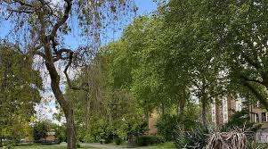 Greenberg Park – Bild 5