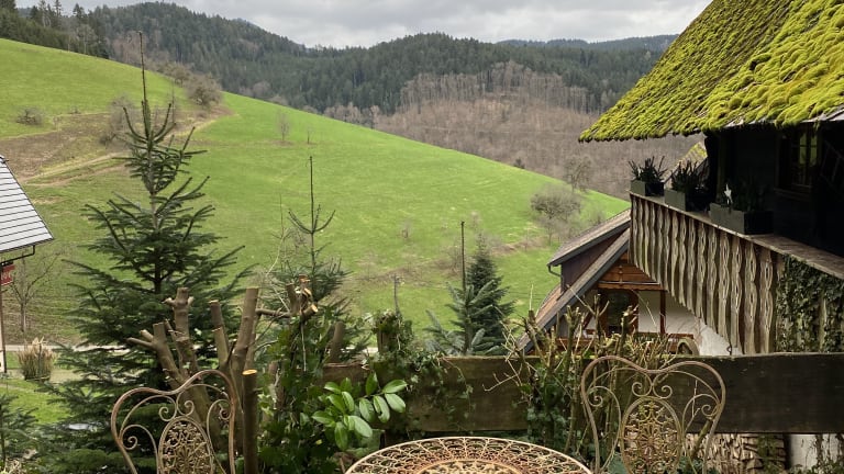 Oberer Rechtgrabenhof - Markus Schwendenmann – Bild 4