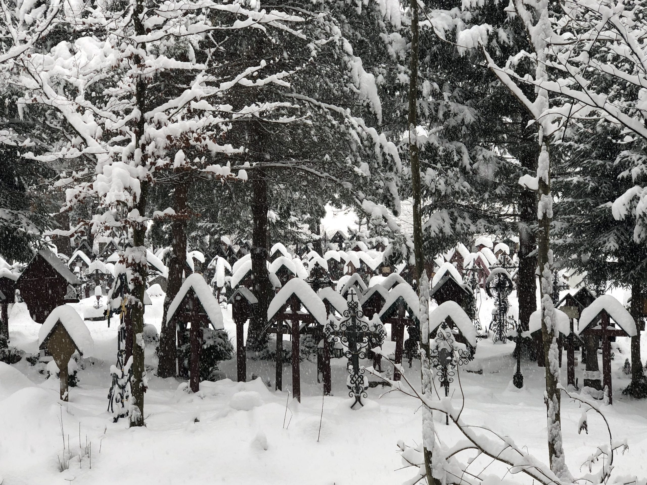 Tummelplatz – Bild 4