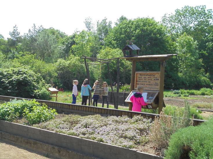 Quedlinburg Ökogarten – Bild 2