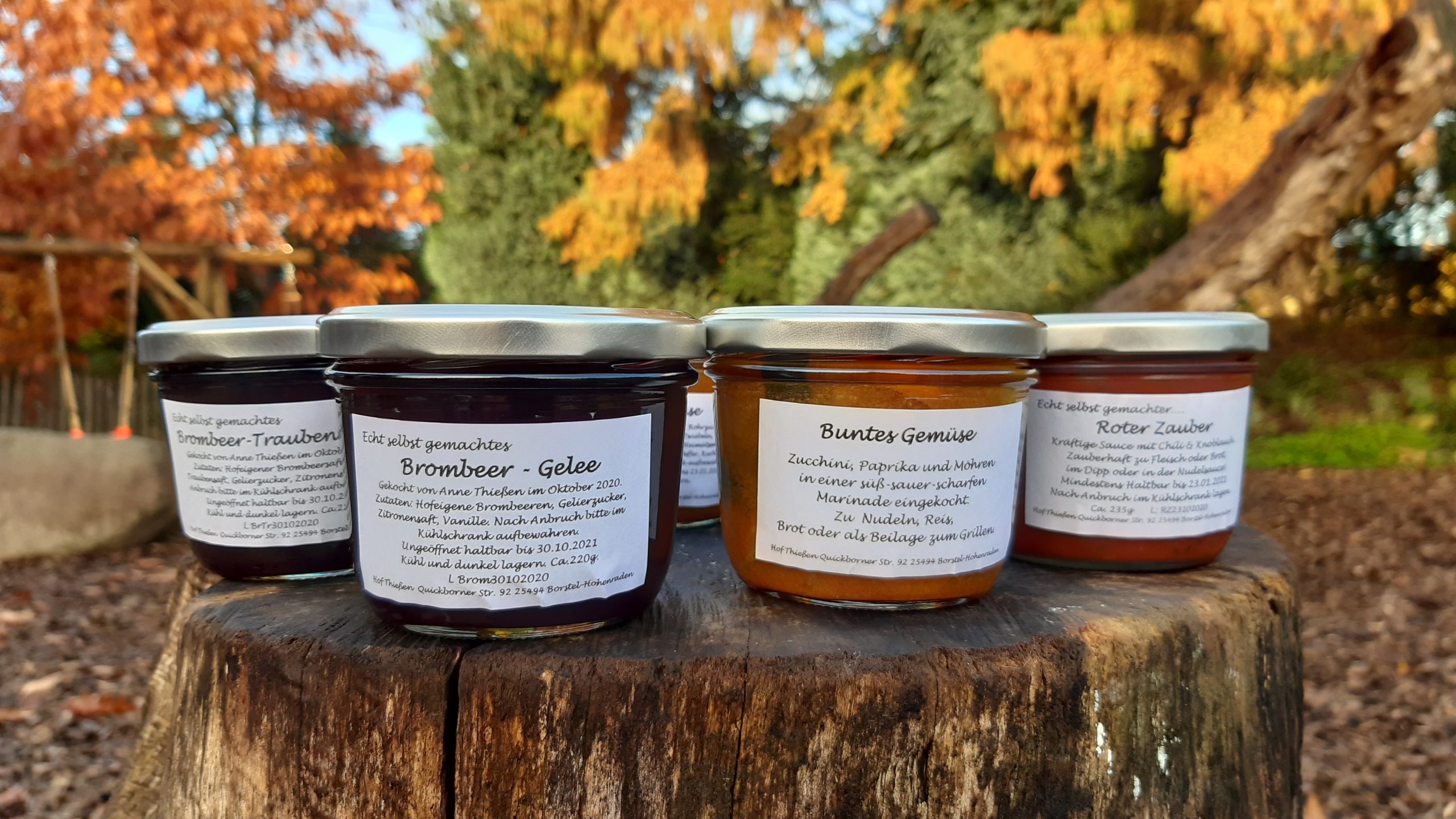 Hof Thießen – Bild 3