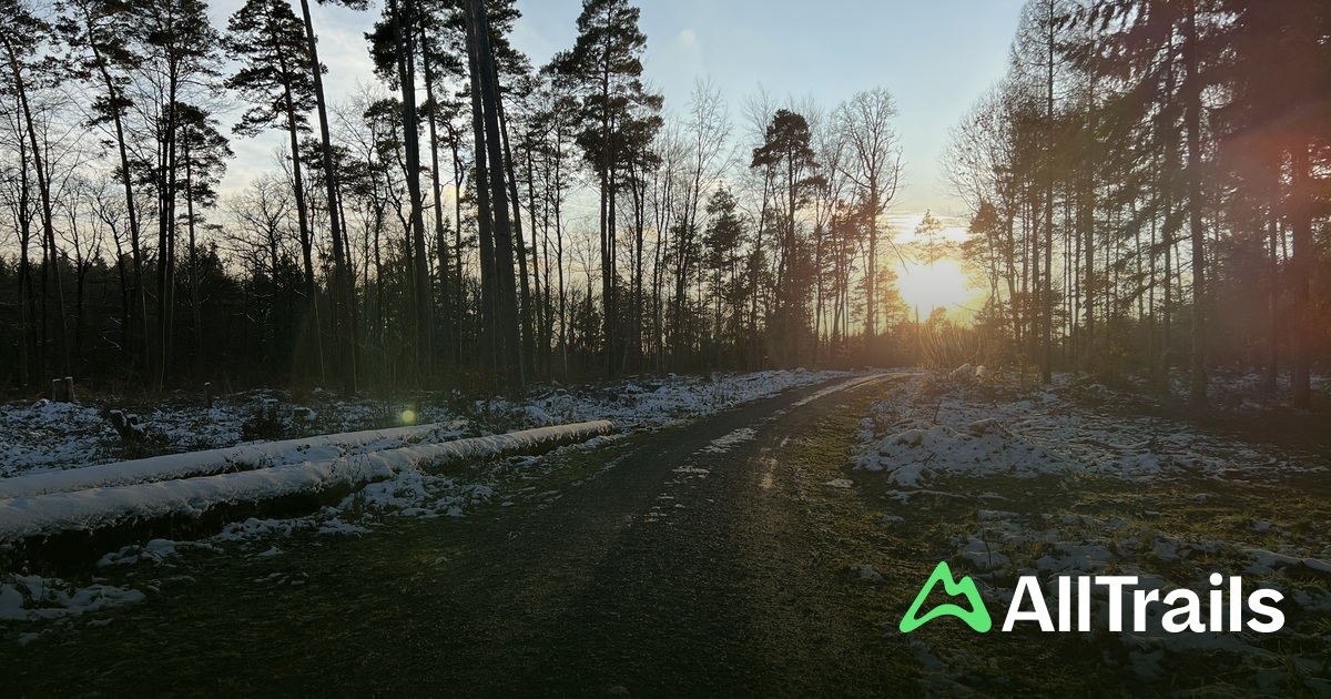 Mühlbach-Fahrt – Bild 6