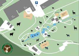 Stiftung Tierpark Weihermätteli – Bild 2