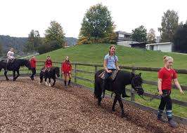 Stiftung Tierpark Weihermätteli – Bild 3