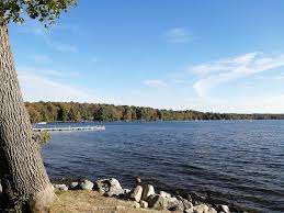 Beaulieu Park – Bild 2