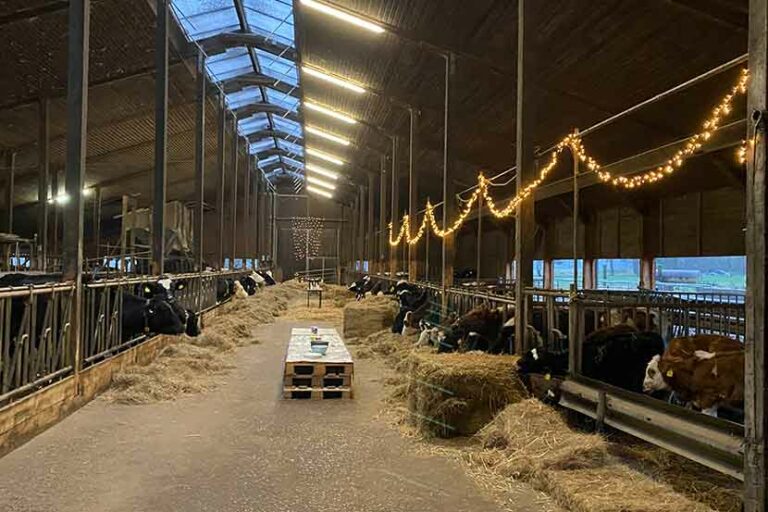 Hof Johansson – Bild 5