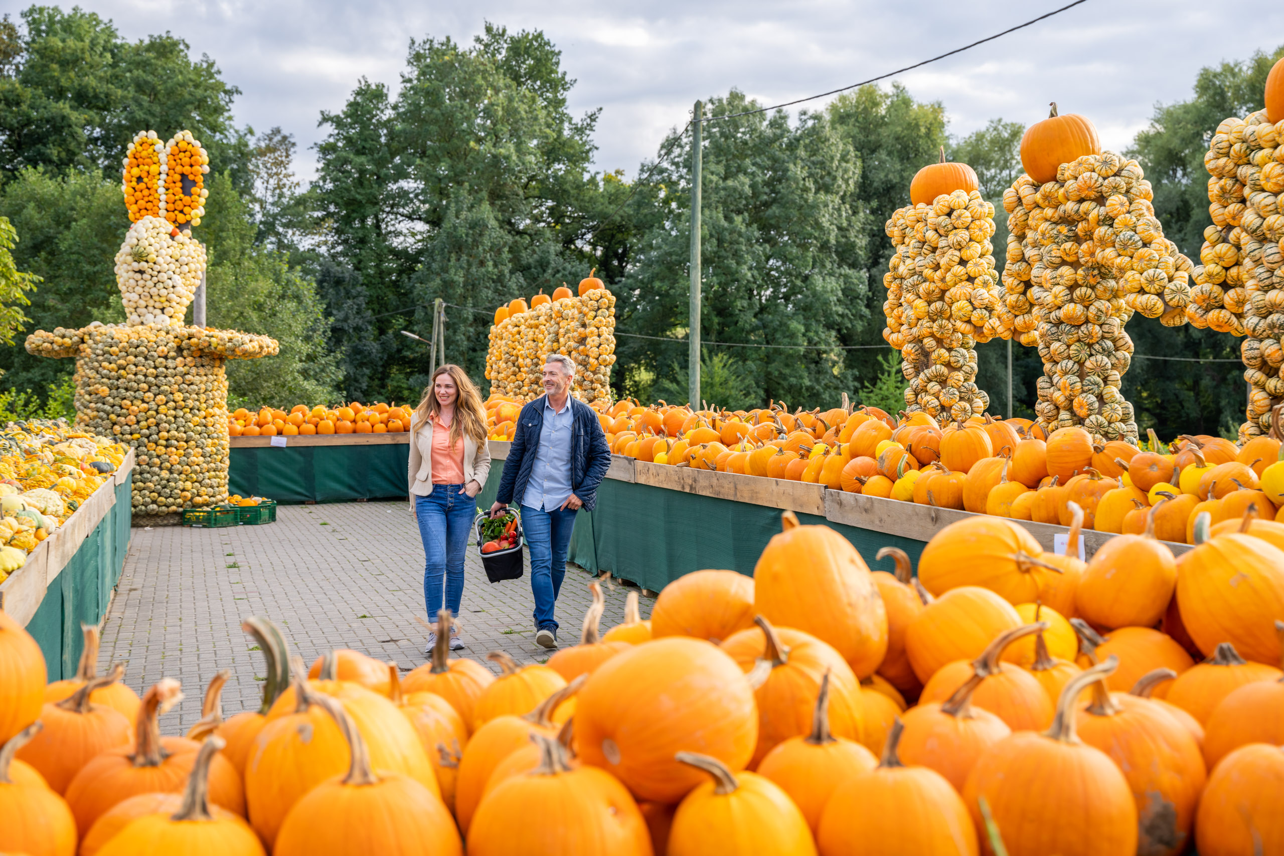 Bauerngarten Benninghoven – Bild 2