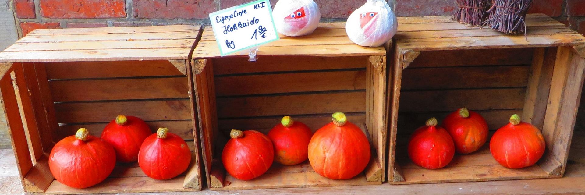 Bauernhof Buntekuh – Bild 3