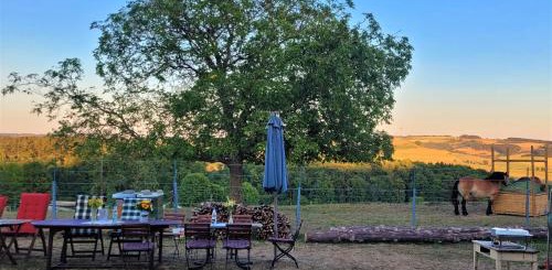 Hof Lamberty – Bild 3