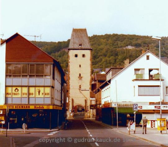 Müllerwiese – Bild 5