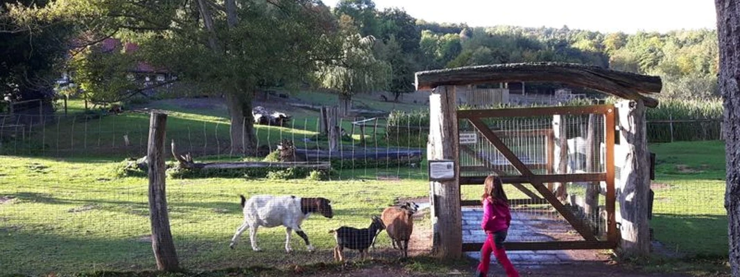 Wildpark Hardegsen – Bild 3