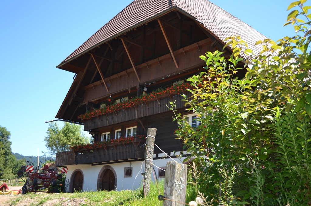 Gmeiner Ferienwohnung - Petra Gmeiner – Bild 3