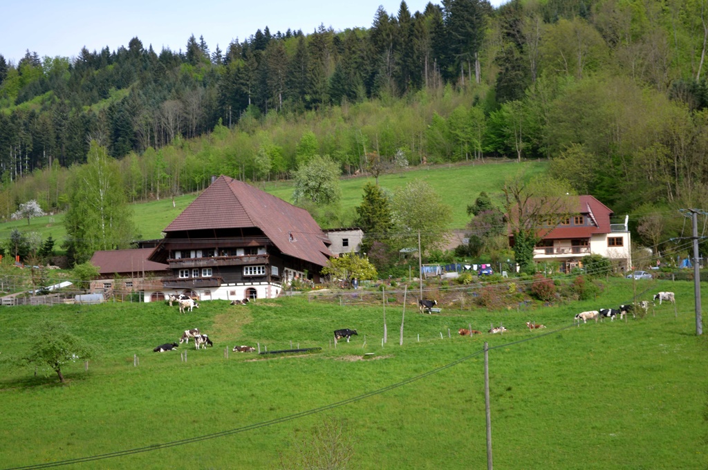 Gmeiner Ferienwohnung - Petra Gmeiner – Bild 4