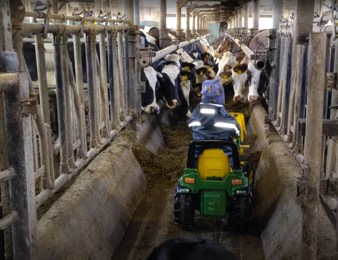 MilchBauernhof Landwirtschaftsbetrieb – Bild 1