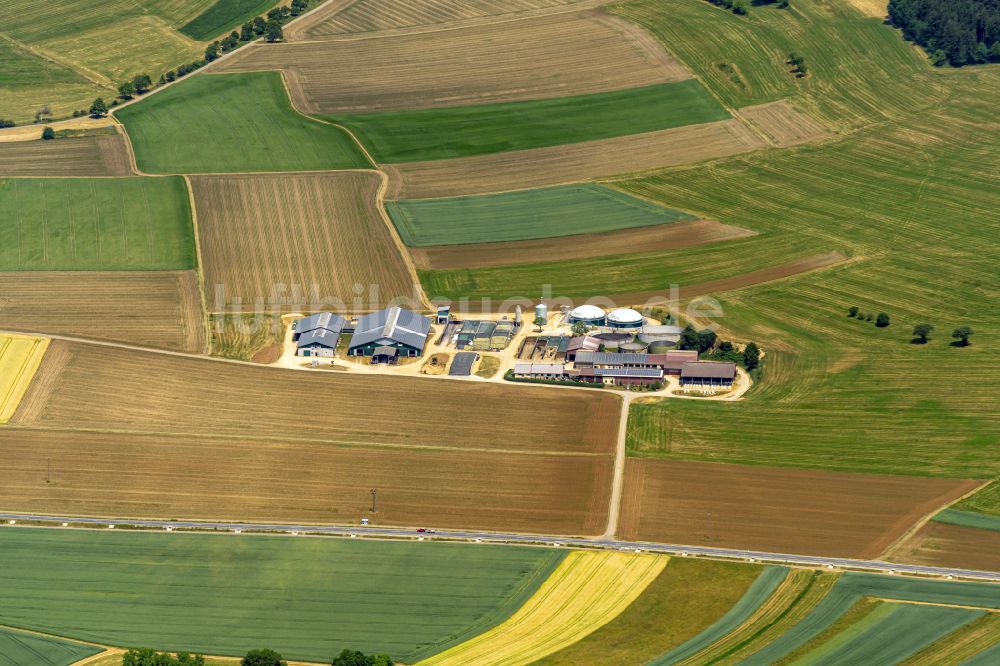 MilchBauernhof Landwirtschaftsbetrieb – Bild 2