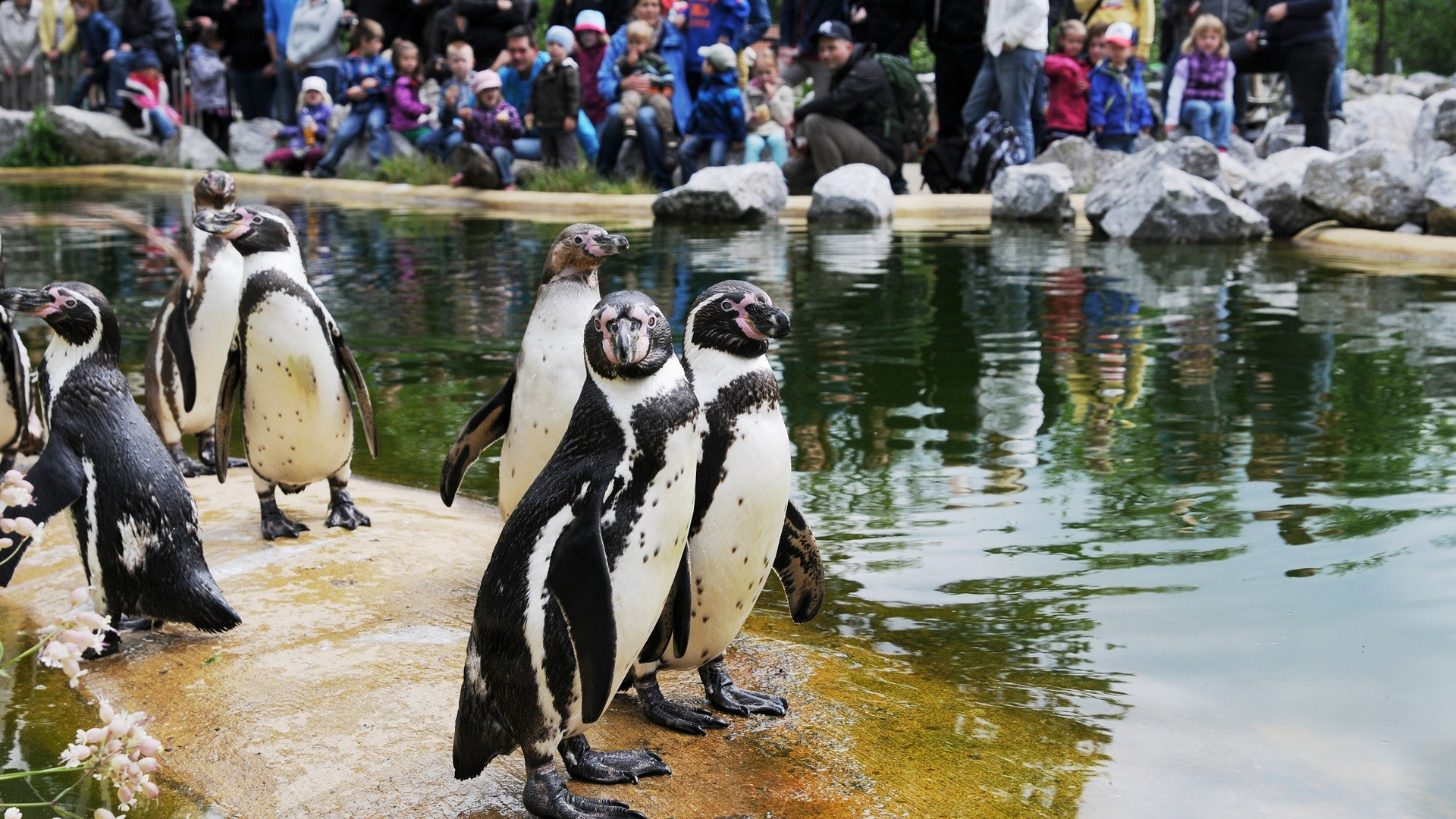 Tierpark Sababurg – Bild 1